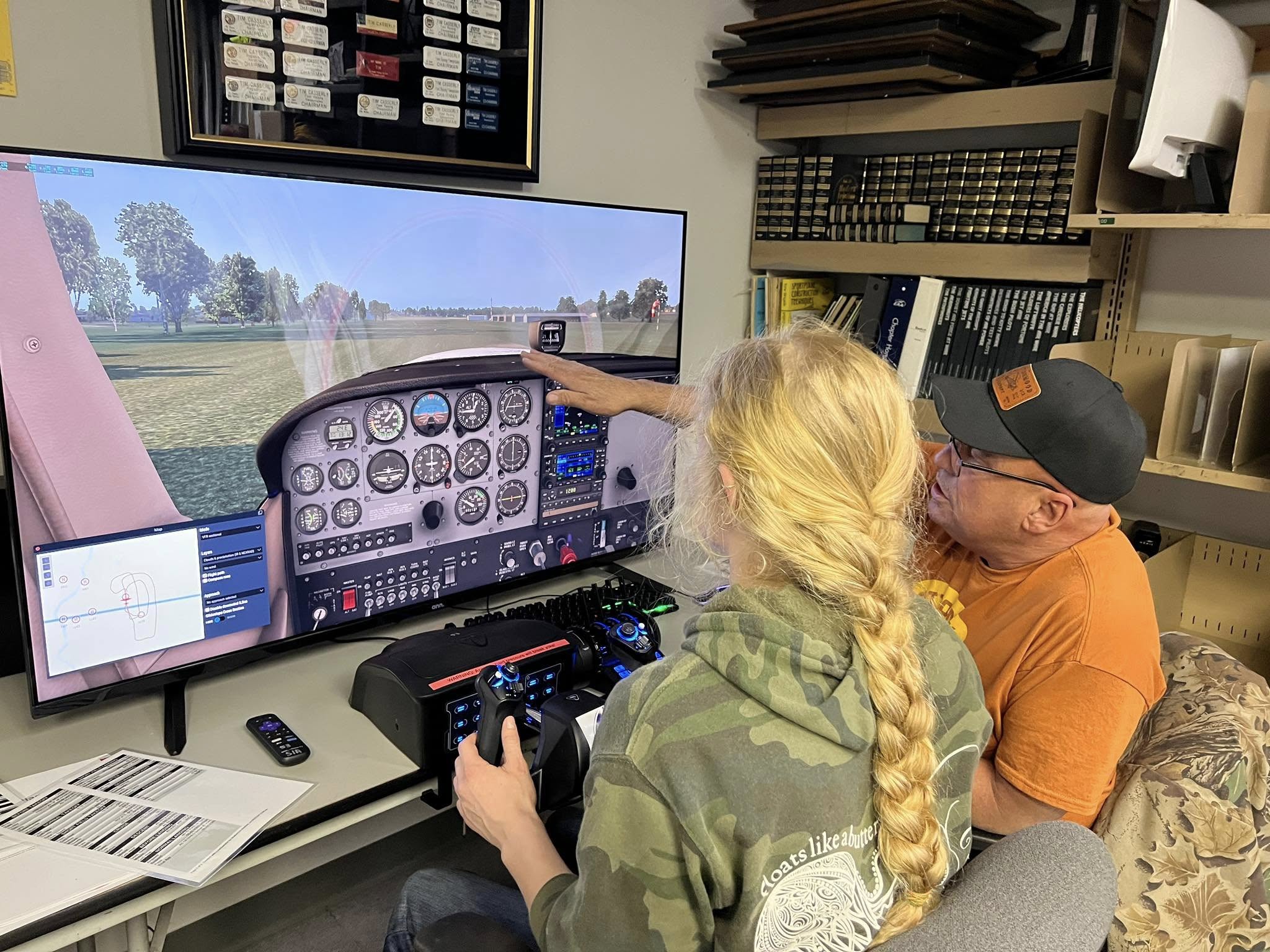 flight sim